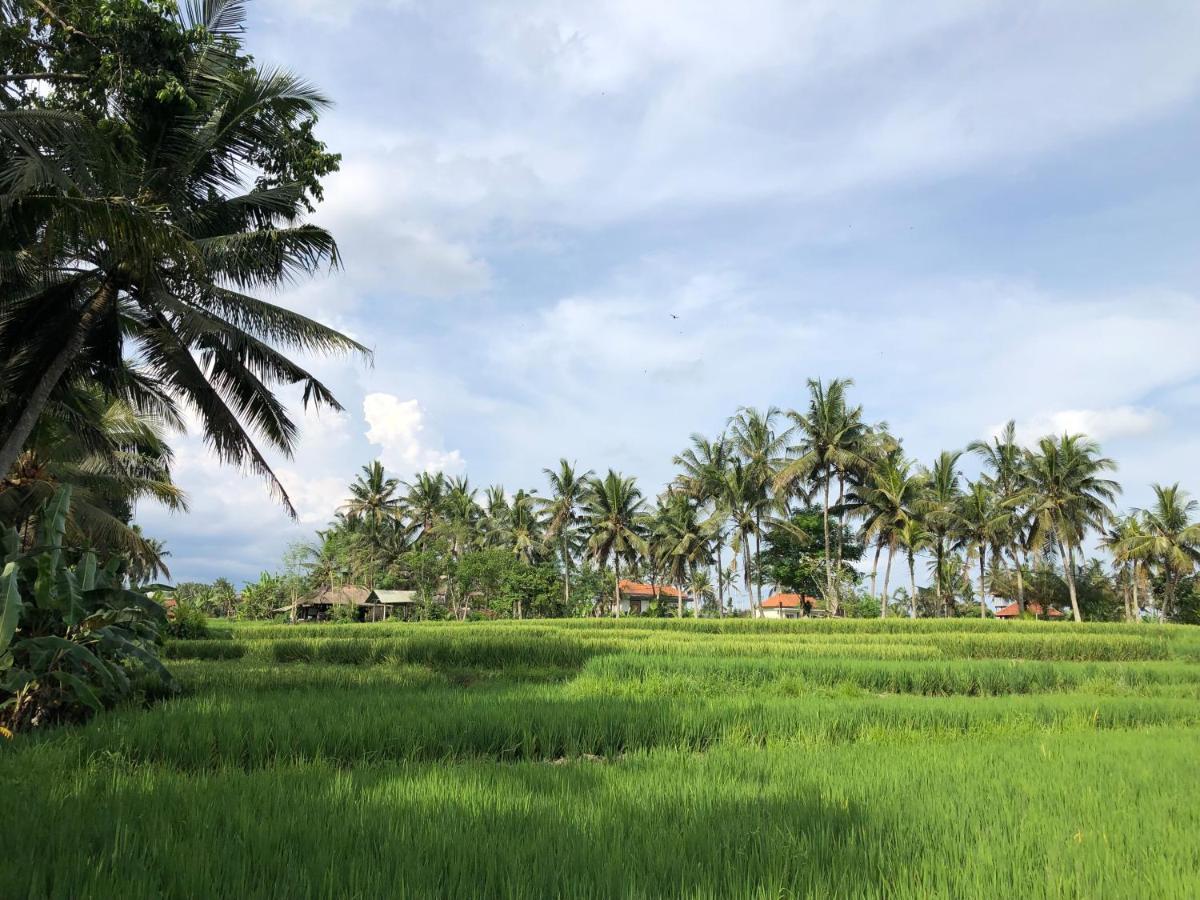 Sweet Orange Pondok Villa Ubud  Exterior photo