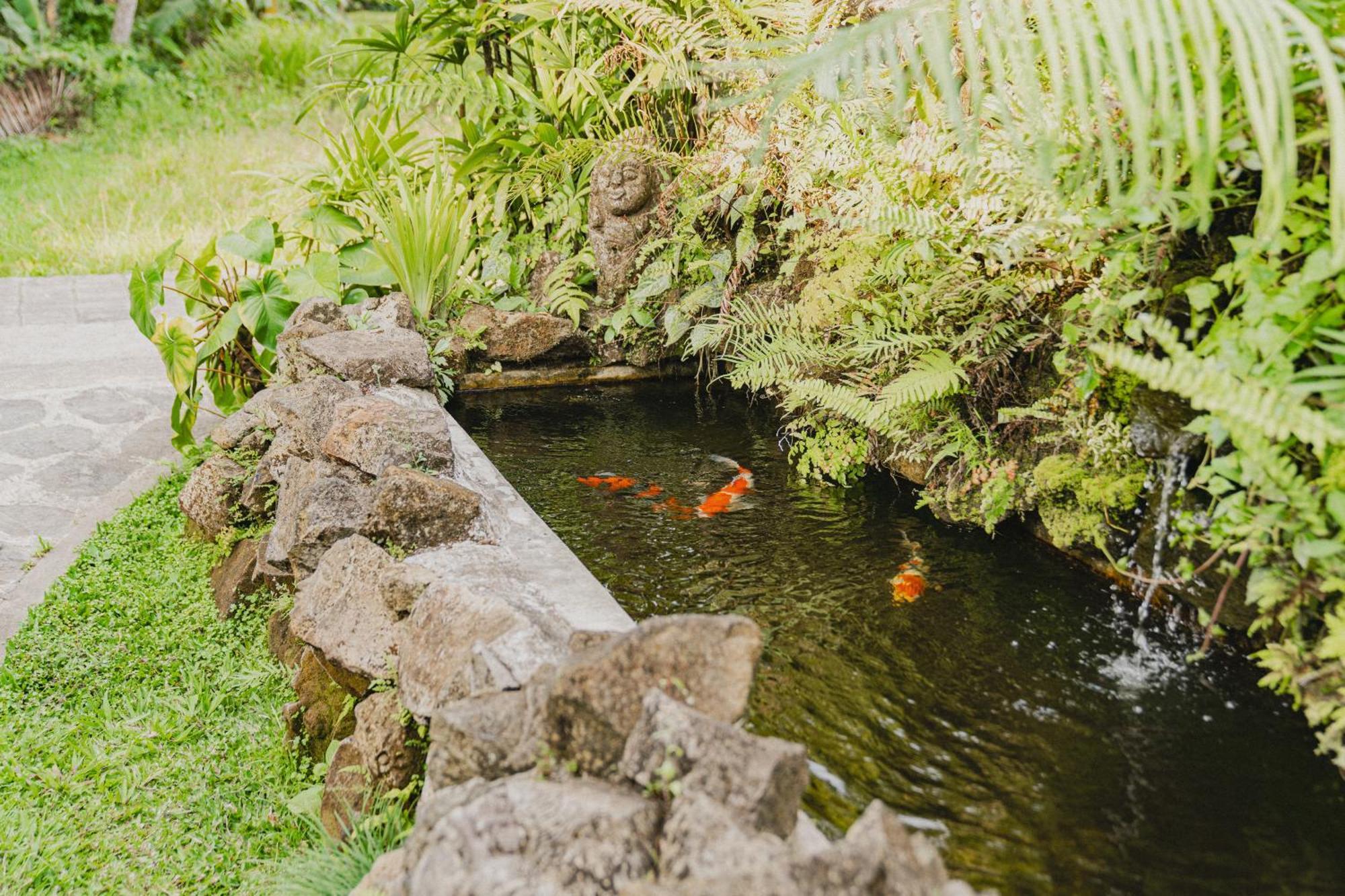 Sweet Orange Pondok Villa Ubud  Exterior photo